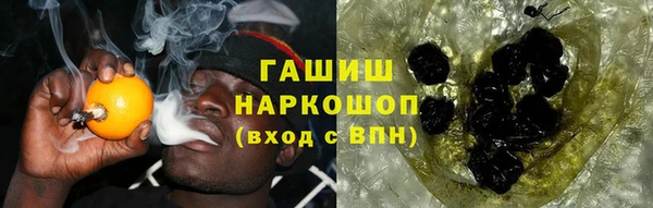 сатива Алзамай