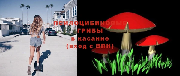 сатива Алзамай