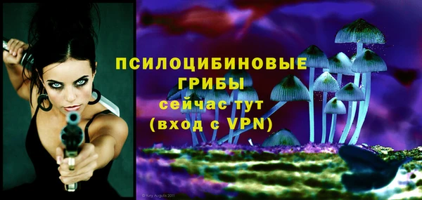 ГАЛЛЮЦИНОГЕННЫЕ ГРИБЫ Алексеевка